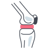 knee-joint