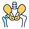 hip replacement